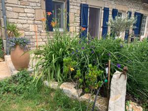 Ogród w obiekcie gîte La Longère bleue