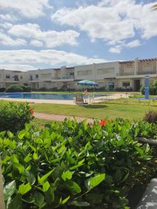 Κήπος έξω από το Bel appartement Savannah Beach