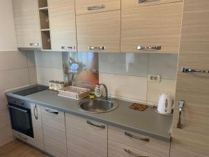 デノヴィチにあるRIVIERA APARTSのシンクとカウンタートップのあるキッチン