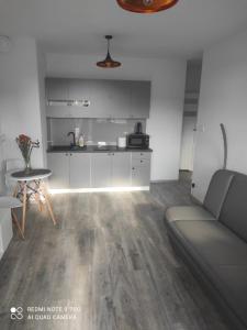 uma cozinha e uma sala de estar com um sofá e uma mesa em Apartament z Jacuzzi i Sauna em Radom