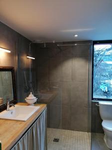 a bathroom with a sink and a toilet and a shower at Maison dans parc clôturé in Barcelonnette