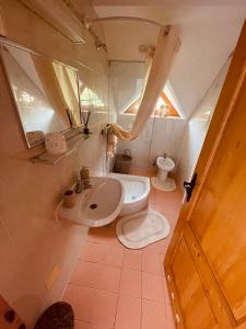 摩拉瓦托普利采的住宿－Moravska iža，一间带水槽和卫生间的小浴室