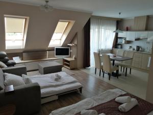 Kuchyň nebo kuchyňský kout v ubytování Zafírgyöngy Apartmanok