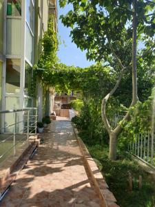 a walkway in front of a building with a tree at апартамент в Приморско in Primorsko