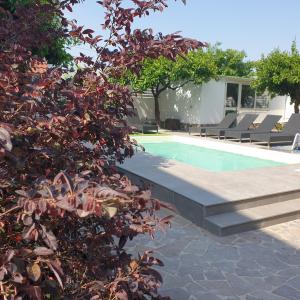 una piscina in un cortile con una pianta di Dafne Home a Pompei