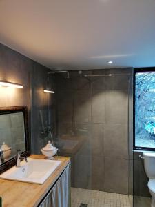 a bathroom with a sink and a shower at Maison dans parc clôturé in Barcelonnette
