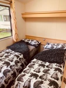 1 dormitorio con 2 camas y ventana en 95 Newquay bay Resort Dog friendly, en Newquay