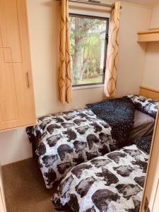 1 dormitorio con 2 camas y ventana en 95 Newquay bay Resort Dog friendly, en Newquay