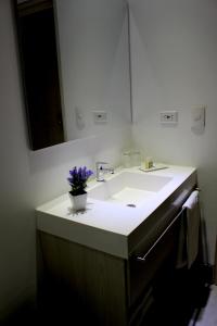 La salle de bains est pourvue d'un lavabo avec un vase de fleurs violettes. dans l'établissement HOTEL RILUX Barrancabermeja, à Barrancabermeja