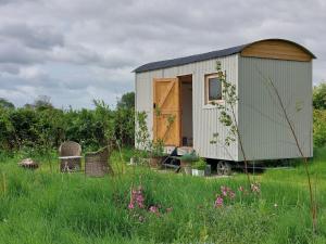 a small shed sitting in the middle of a field at Doris in Wedmore