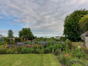 a garden with colorful flowers and a fence at Doris in Wedmore