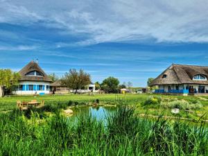 a group of houses in a field with a pond at 5 Chirpici - Small Traditional Resort in Murighiol