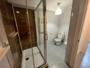 La salle de bains est pourvue d'une douche et de toilettes. dans l'établissement Loft en Torrelavega, à Torrelavega