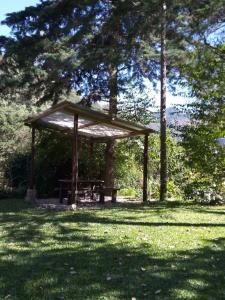 En have udenfor Cabañas Río Los Nogales