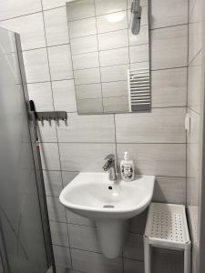 Kylpyhuone majoituspaikassa Noclegi Stara Wozownia