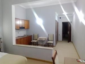 Kuchyň nebo kuchyňský kout v ubytování Shindan Hotel Astara