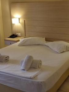 Postel nebo postele na pokoji v ubytování Saint Nicholas Hotel