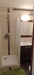 Kúpeľňa v ubytovaní Appartement St Lary Soulan pied des pistes (le Pla d’Adet) 5 personnes