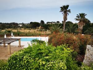 een zwembad met een picknicktafel en palmbomen bij Masseria Serine in Leuca