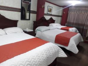 Postel nebo postele na pokoji v ubytování Hotel Tungurahua