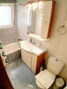 ein Badezimmer mit einem WC, einem Waschbecken und einem Spiegel in der Unterkunft Studio apartment in Kirra, ancient port of Delphi in Kírra