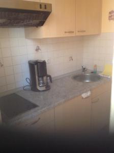 cocina con fregadero y cafetera en una encimera en Appartement Haus Anja, en Bad Füssing