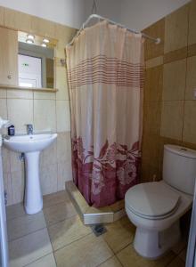 ネアブラスナにあるVordos Roomsのバスルーム(トイレ、洗面台、シャワーカーテン付)