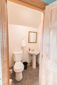 a bathroom with a toilet and a sink at The Loft at the Barn in Bolivar