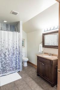 a bathroom with a shower and a sink and a toilet at The Loft at the Barn in Bolivar