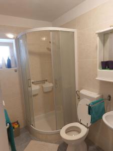 a bathroom with a shower with a toilet and a sink at APARTMAN VERA in Cres +11 photos