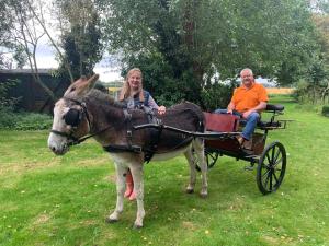 a man and a woman riding in a donkey drawn carriage at Starry Meadow in Great Yarmouth