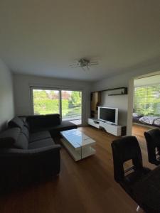 a living room with a couch and a tv at Schöne Gartenwohnung mit Carport und Terrasse! in Graz