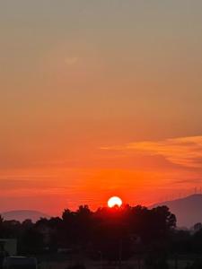 um pôr-do-sol com o pôr-do-sol atrás de algumas árvores em Casa de la Playa em Shkodër