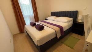 1 dormitorio con 1 cama con 2 almohadas en Villa Evita Apartments, en Prožura