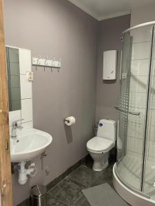 a bathroom with a sink and a toilet and a shower at Spacious Ausekla apartment in Liepāja