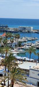 a group of boats in a marina with palm trees at Puerto Paraiso Estepona port in Estepona
