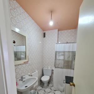 Un baño con inodoro, lavabo y espejo. en Apartamentos O Cargadeiro Ribadeo, en Ribadeo