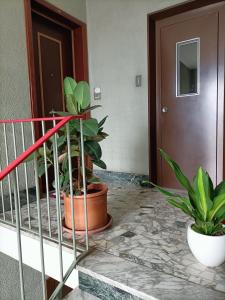 Billede fra billedgalleriet på Diva Apartment i Torino + 12 billeder