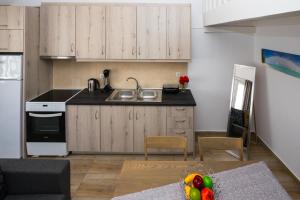 Kuchyň nebo kuchyňský kout v ubytování Sunny Apartment - Triovasalos