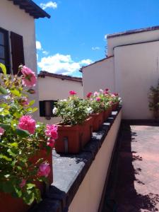 Κήπος έξω από το Foresteria Valdese di Firenze