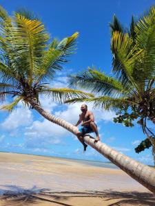 Un uomo seduto su una palma sulla spiaggia di Casa do Angelo a Ilha de Boipeba