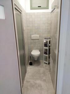 a bathroom with a toilet and a walk in shower at Center Warsaw- Apartamenty Smolna in Warsaw