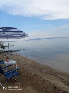 Táj Show holiday homes közelében