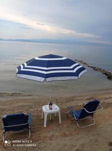 Táj Show holiday homes közelében