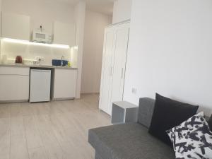 ein Wohnzimmer mit einem Sofa und einer Küche in der Unterkunft Center Warsaw- Apartamenty Smolna in Warschau