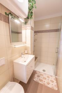 Koupelna v ubytování Apartman Gara