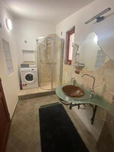 Koupelna v ubytování Apartmany Vila Lucia 6