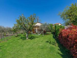 Fotografia z galérie ubytovania Villa Marinko v destinácii Umag