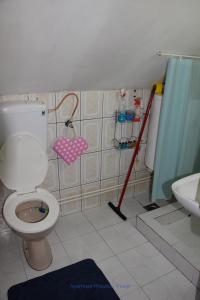 a bathroom with a toilet and a mop at Apartman Wisteria in Vranje