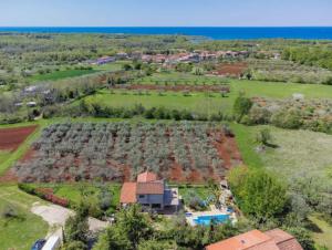 Fotografia z galérie ubytovania Villa Marinko v destinácii Umag